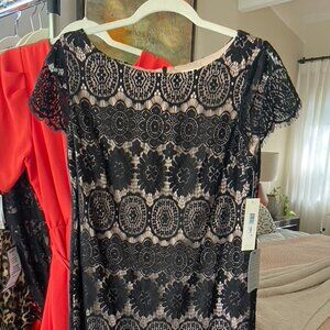 Eliza J Black Lace Cocktail Dress with Short Sleeves
